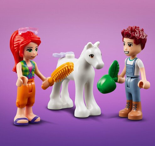 Lego  Friends 41696 Pony-Washing Stable